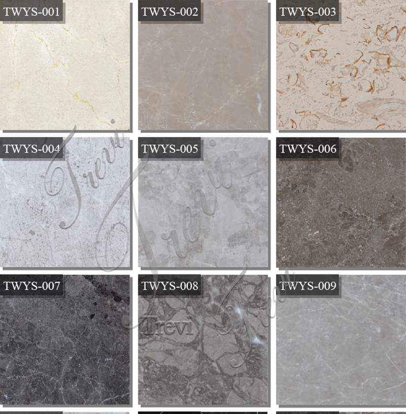 marble choices -Trevi sculpture